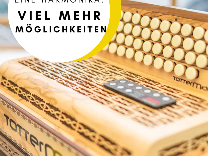 EINE-HARMONIKA.-Das-ganze-band