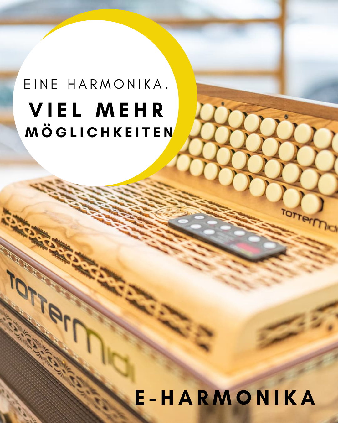 EINE-HARMONIKA.-Das-ganze-band
