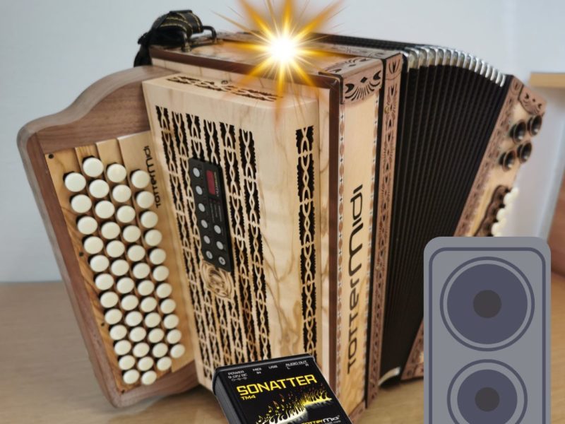 TOP-LOSUNG-für-jeden-Harmonikaspieler