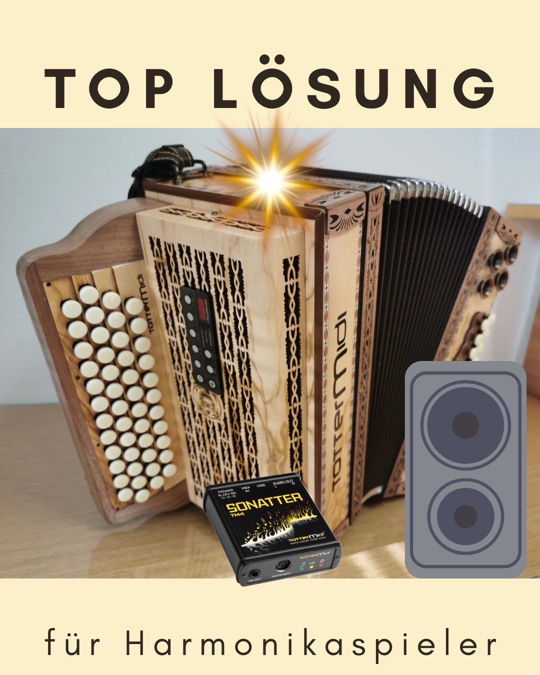 TOP-LOSUNG-für-jeden-Harmonikaspieler