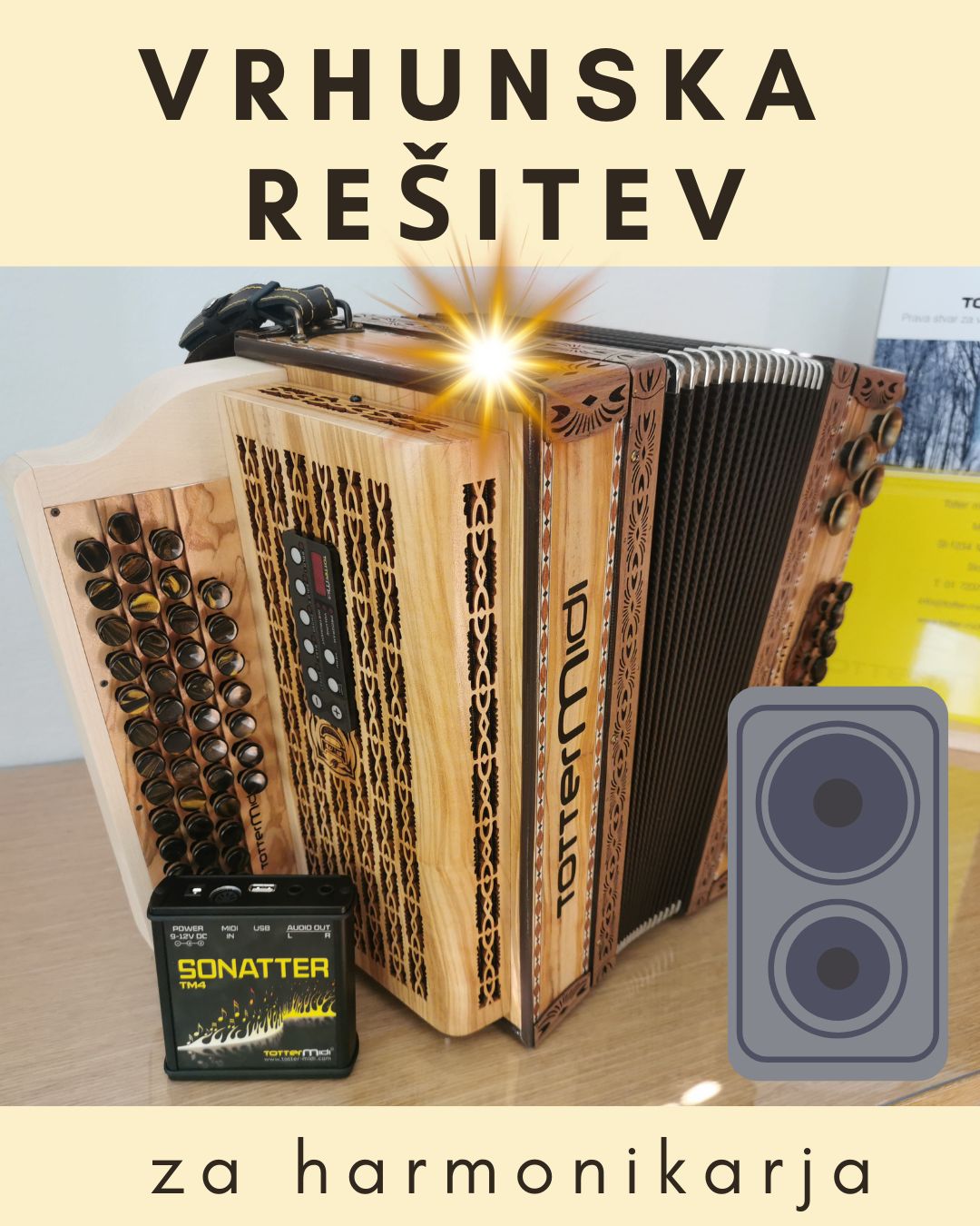 Top-lösung-für-harmonikaspieler